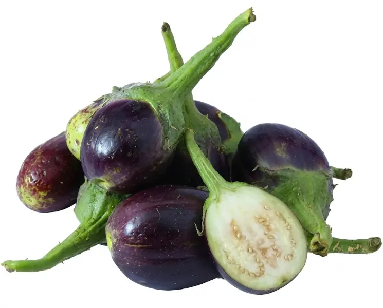 बैंगन | Brinjal | 500 Gm