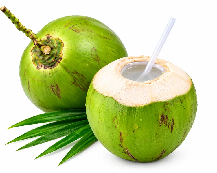 नारियल पानी | Coconut Water | 1 Piece