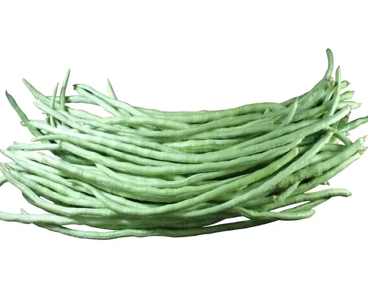 रमास की फली | Cowpea Beans | 500 Gm