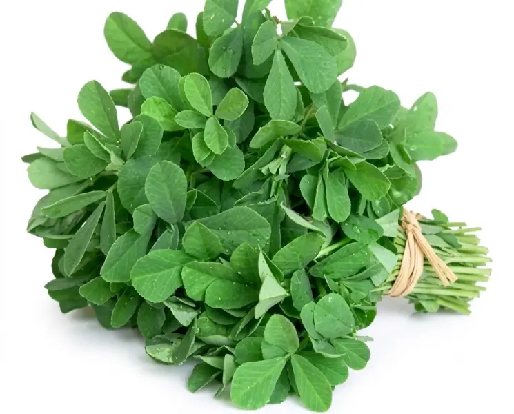मेथी | Fenugreek | 250 Gm