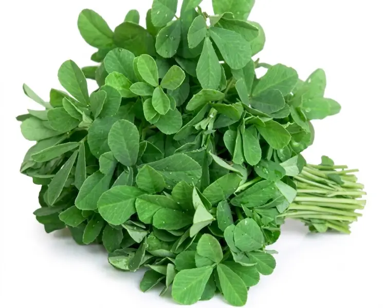 मेथी | Fenugreek | 500 Gm