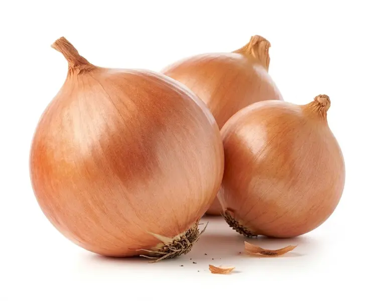 प्याज | Onion | 1 KG