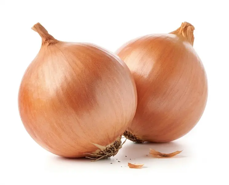 प्याज | Onion | 500 Gm