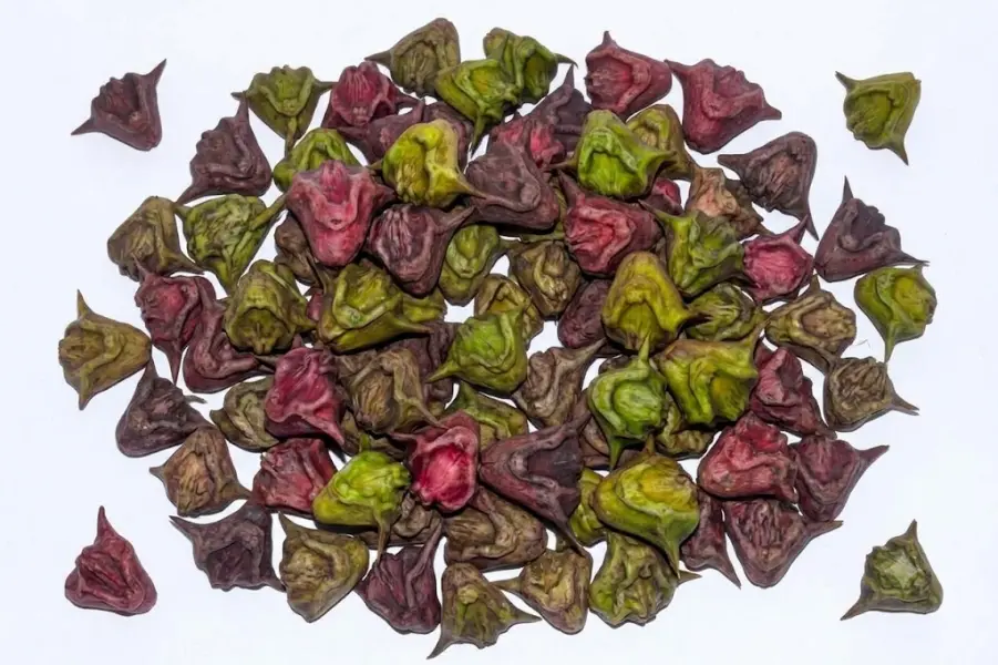 सिंघाड़े | Water Chestnuts | 500 Gm