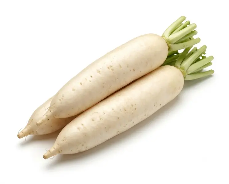 मूली | White Radish | 1 Pc