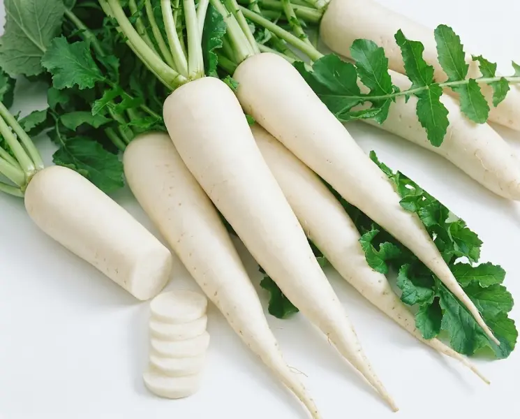 मूली | White Radish | 5 Pcs
