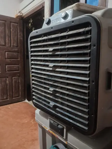 Best Commercial Cooler