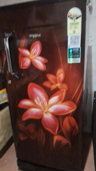 Whirlpool Fridge - Image 2