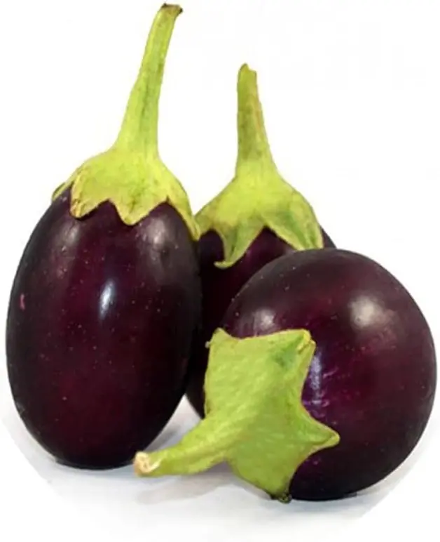 Mk Kushwah